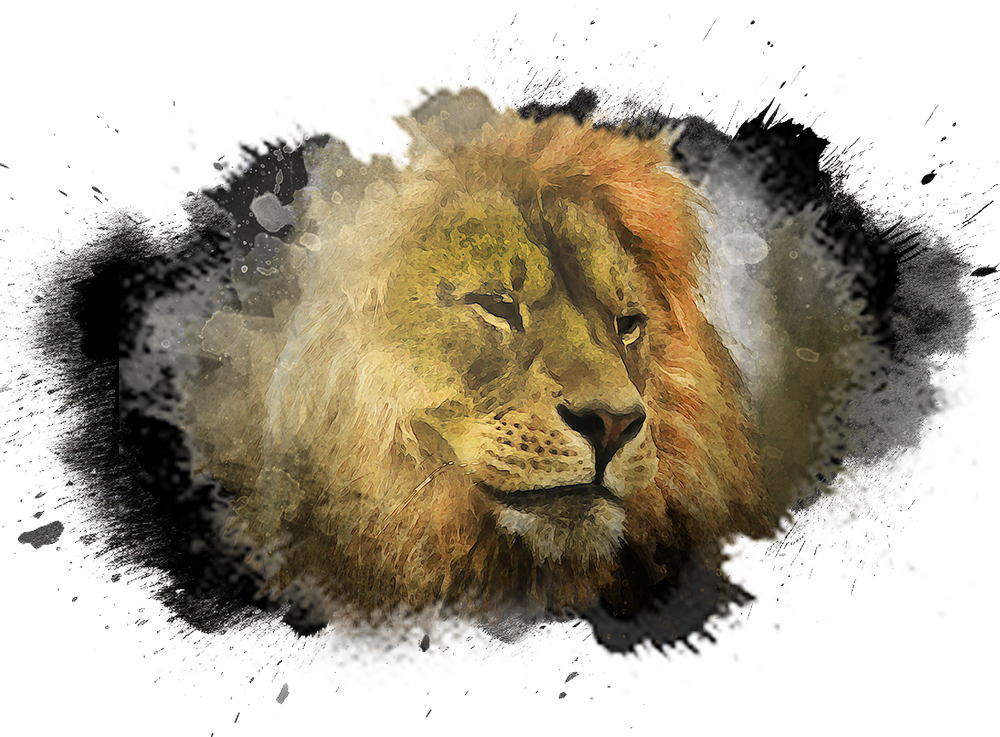 southern lion